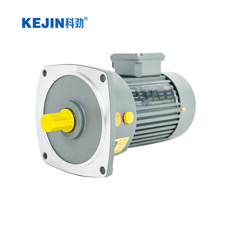 立式齒輪減速電機